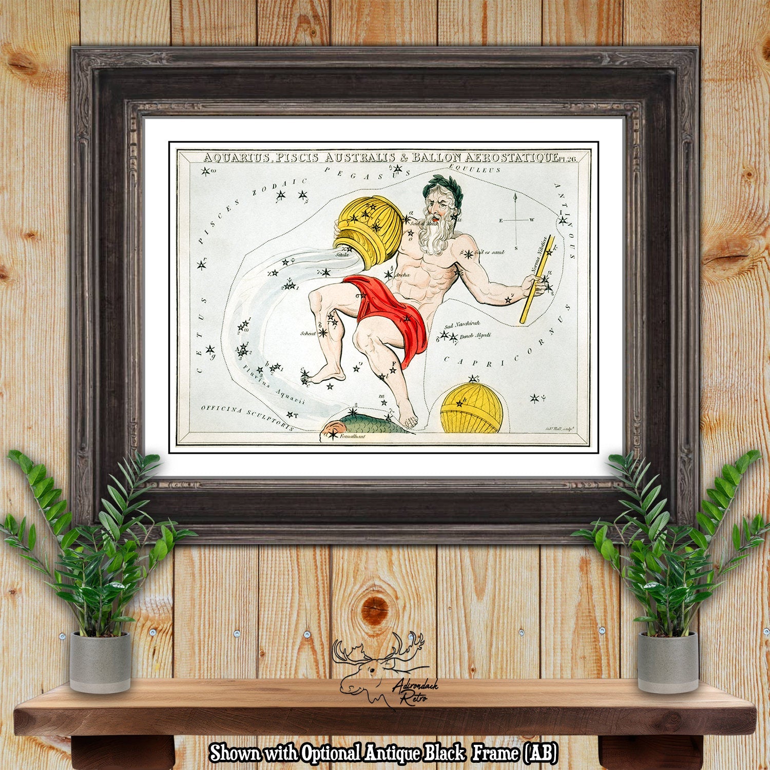 Aquarius Constellation Star Map by Sidney Hall Fine Art Astrology Print at Adirondack Retro