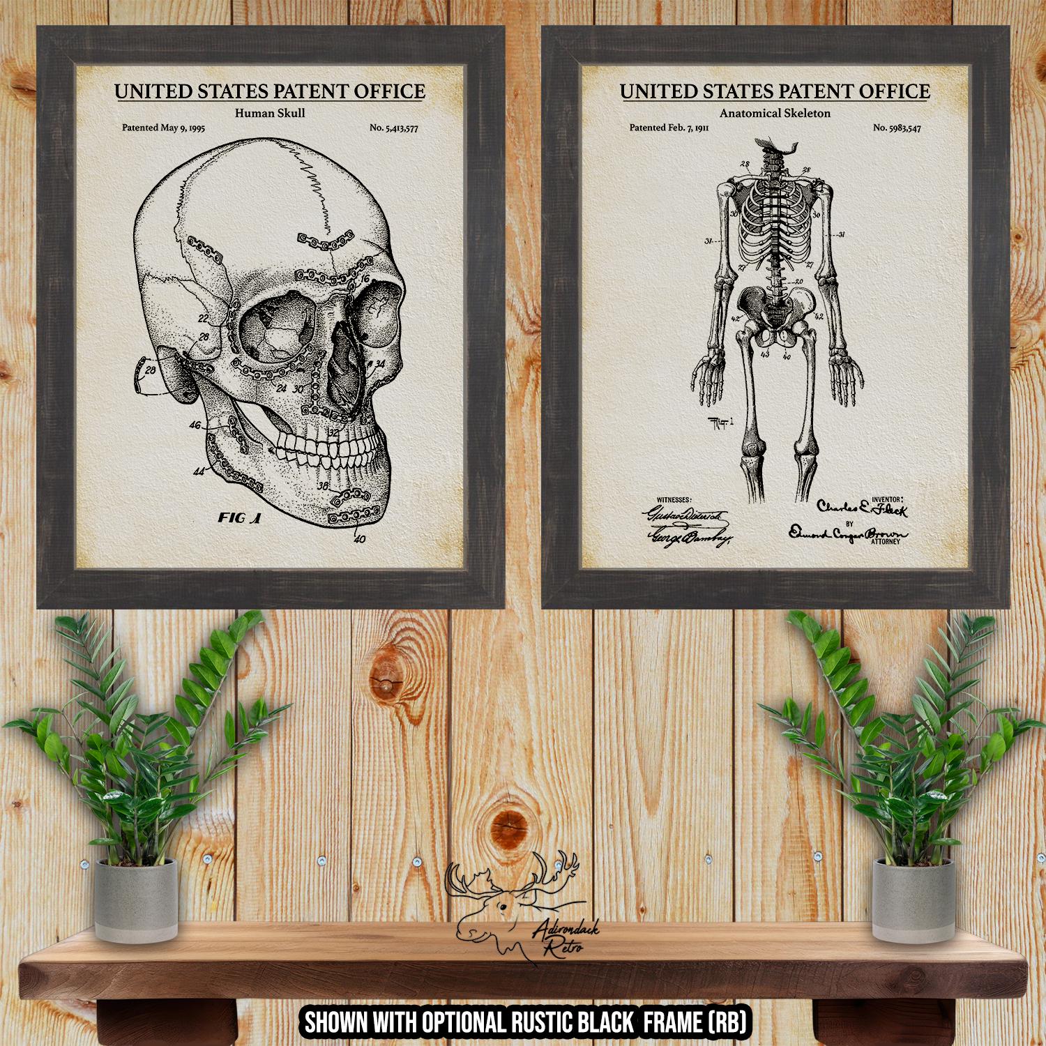 Skeleton and Skull Patent Print Set of 2 - Retro Halloween Posters - Vintage Human Anatomy Prints at Adirondack Retro