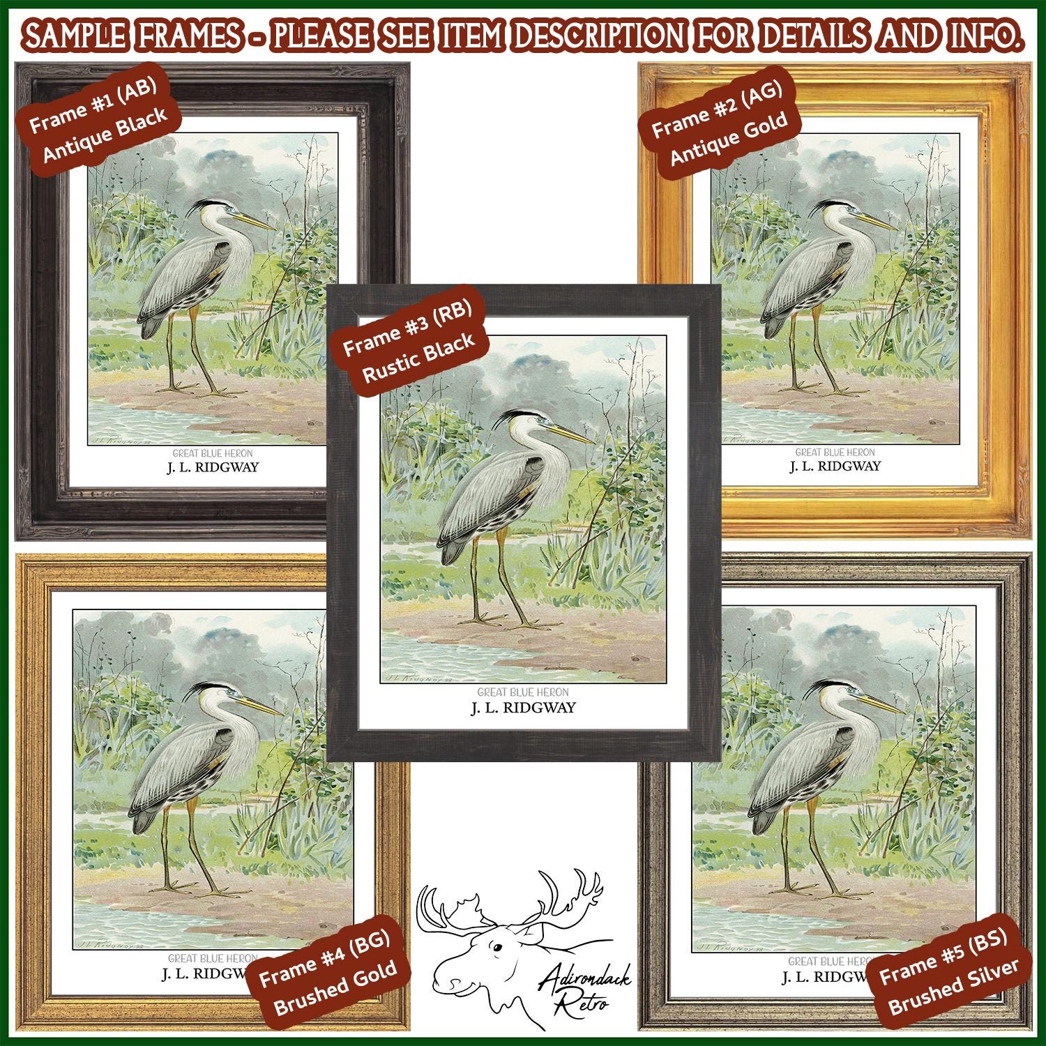 a set of four framed pictures of birds