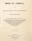 Audubon Manks Shearwater Pl. 457 - Birds Of America Royal Octavo 1st Edition Antique Print