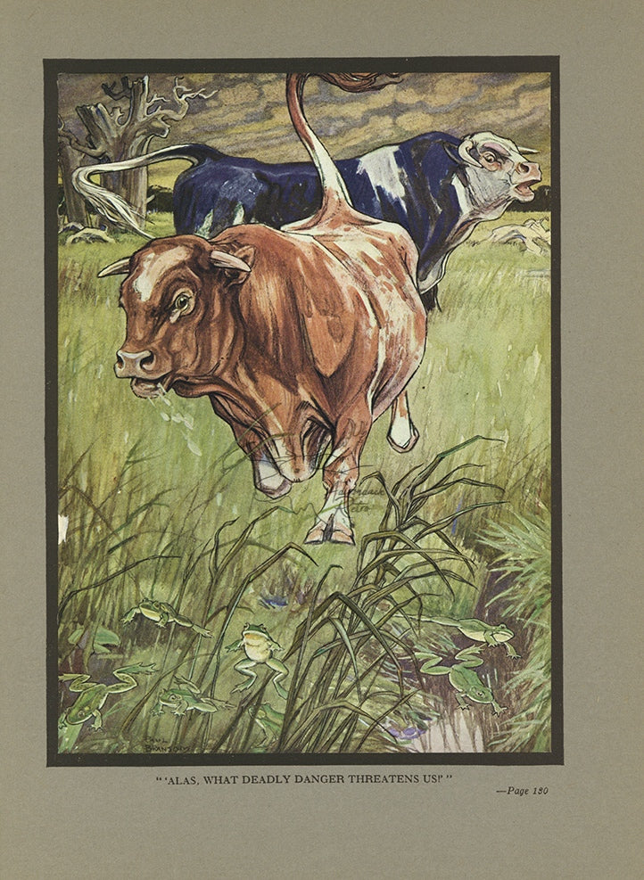 1921 The Frogs And The Fighting Bulls Tipped-In Color Book Plate - Paul Bransom Antique Print