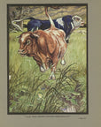 1921 The Frogs And The Fighting Bulls Tipped-In Color Book Plate - Paul Bransom Antique Print