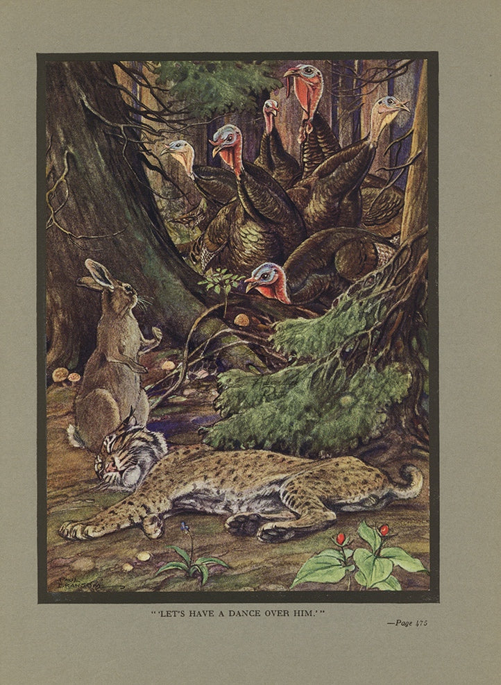1921 The Wildcat And The Rabbit Tipped-In Color Book Plate - Paul Bransom Antique Print