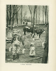 1907 A Typical "Sugar Bush" Lithograph - Antique Henry Sumner Watson Print