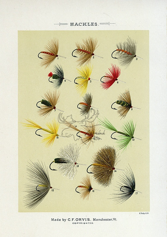 1892 Hackles Plate A - Antique Mary Orvis Marbury Fly Fishing Print