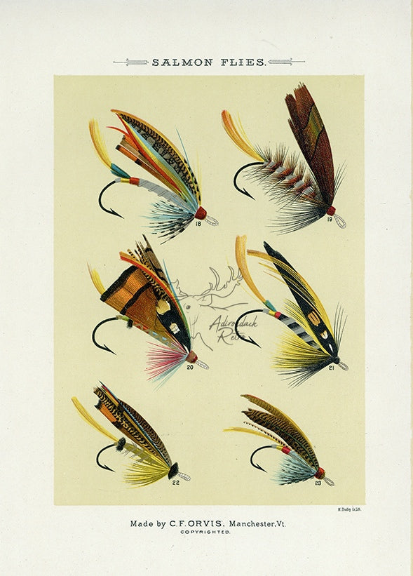 1892 Salmon Flies Plate B - Antique Mary Orvis Marbury Fly Fishing Print