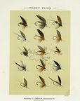1892 Trout Flies Plate Q - Antique Mary Orvis Marbury Fly Fishing Print