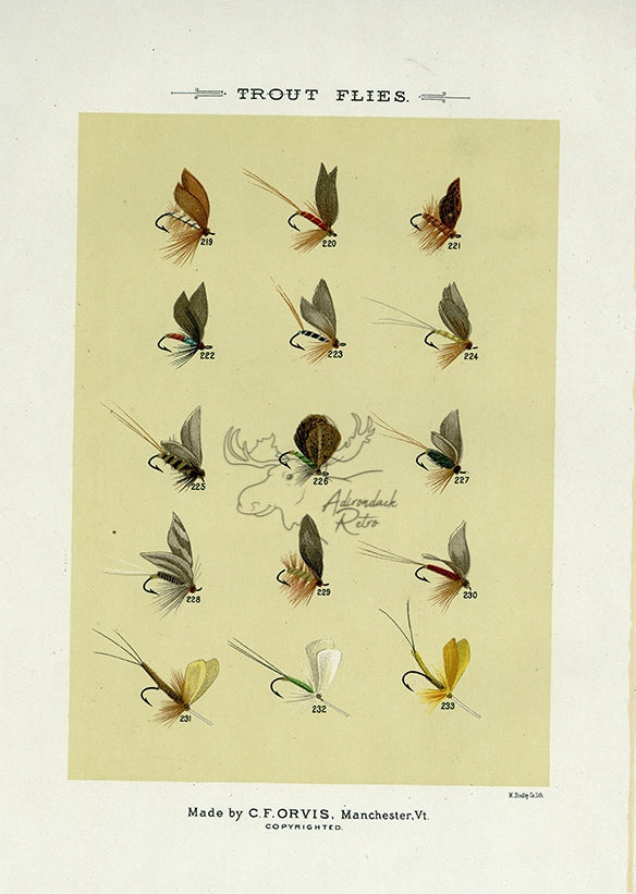 1892 Trout Flies Plate V - Antique Mary Orvis Marbury Fly Fishing Print