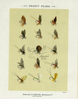 1892 Trout Flies Plate V - Antique Mary Orvis Marbury Fly Fishing Print
