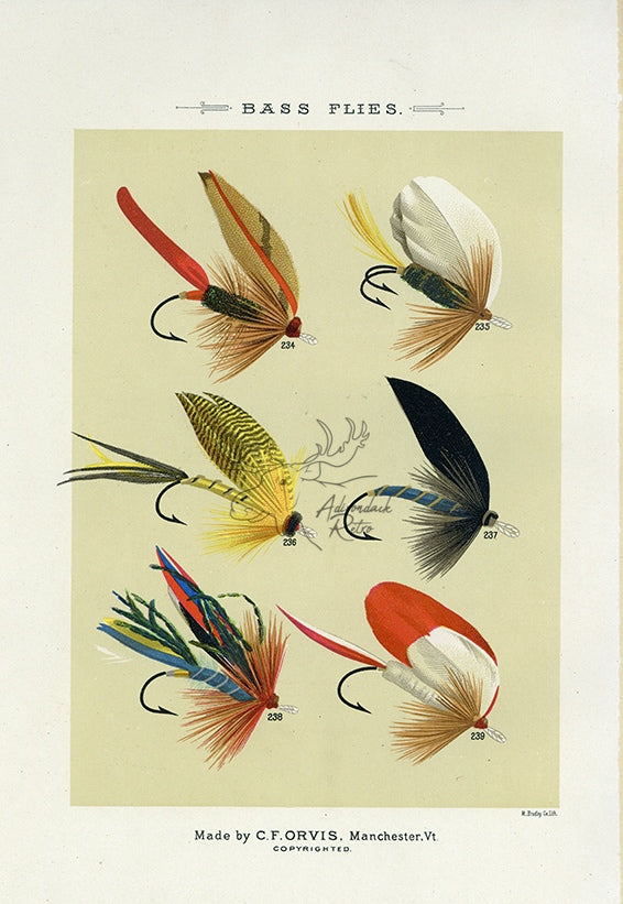 1892 Bass Flies Plate W - Antique Mary Orvis Marbury Fly Fishing Print