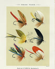 1892 Bass Flies Plate W - Antique Mary Orvis Marbury Fly Fishing Print