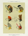 1892 Bass Flies Plate X - Antique Mary Orvis Marbury Fly Fishing Print