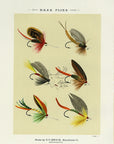 1892 Bass Flies Plate Y - Antique Mary Orvis Marbury Fly Fishing Print