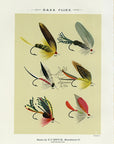 1892 Bass Flies Plate Z - Antique Mary Orvis Marbury Fly Fishing Print