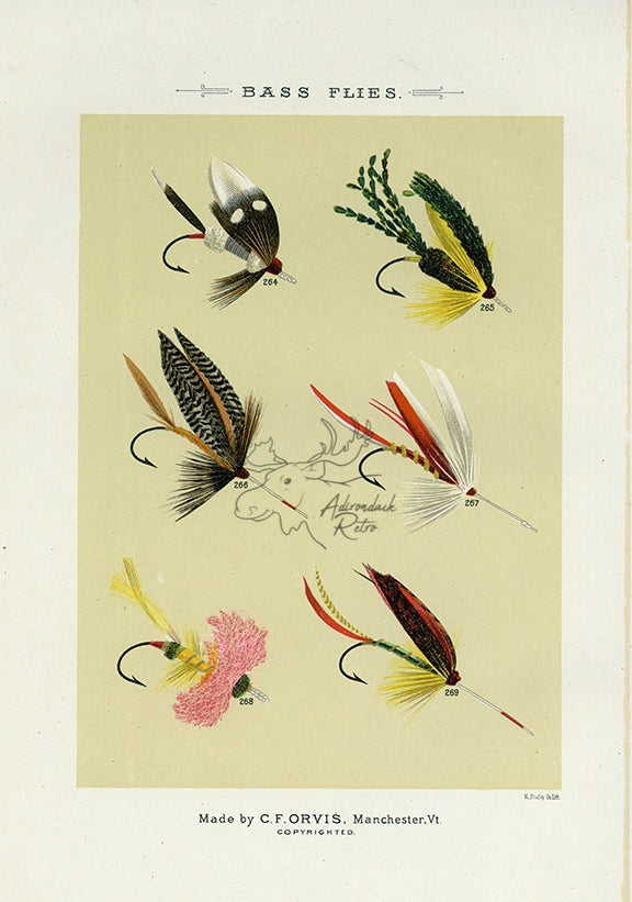 1892 Bass Flies Plate BB - Antique Mary Orvis Marbury Fly Fishing Print