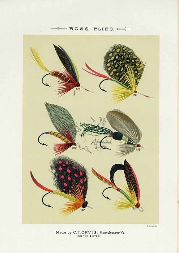 1892 Bass Flies Plate Y - Antique Mary Orvis Marbury Fly Fishing