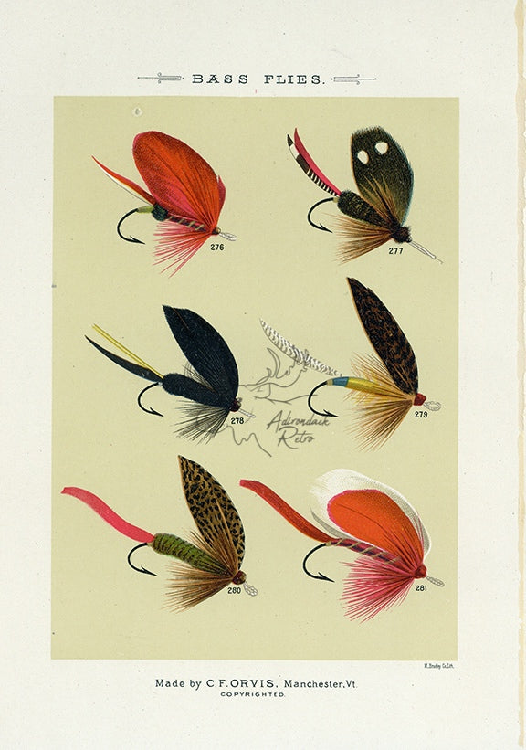 1892 Bass Flies Plate DD - Antique Mary Orvis Marbury Fly Fishing Print
