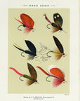 1892 Bass Flies Plate DD - Antique Mary Orvis Marbury Fly Fishing Print