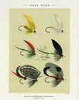1892 Bass Flies Plate EE - Antique Mary Orvis Marbury Fly Fishing Print