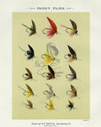 1892 Trout Flies Plate U - Antique Mary Orvis Marbury Fly Fishing Print