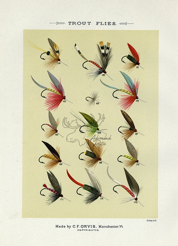 1892 Trout Flies Plate R - Antique Mary Orvis Marbury Fly Fishing Print