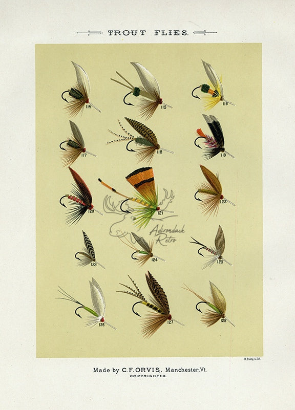 1892 Trout Flies Plate O - Antique Mary Orvis Marbury Fly Fishing Print