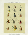 1892 Trout Flies Plate N - Antique Mary Orvis Marbury Fly Fishing Print