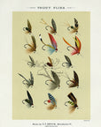 1892 Trout Flies Plate M - Antique Mary Orvis Marbury Fly Fishing Print