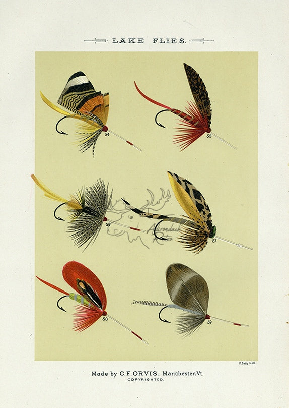 1892 Lake Flies Plate H - Antique Mary Orvis Marbury Fly Fishing Print