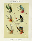 1892 Lake Flies Plate E - Antique Mary Orvis Marbury Fly Fishing Print