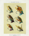 1892 Salmon Flies Plate D - Antique Mary Orvis Marbury Fly Fishing Print