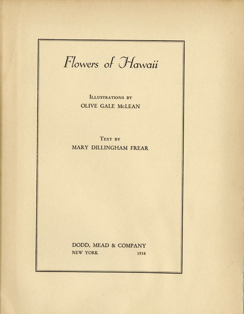 1938 Potato Vine Hawaiian Flower Print - Vintage Olive Gale McLean Tipped-In Botanical Print