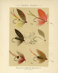 1885 Lake Flies Plate 2 - Antique Charles F. Orvis Fishing Print