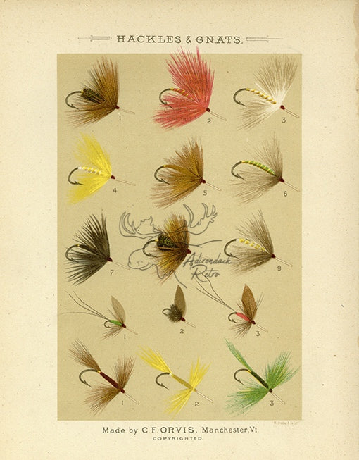 1885 Hackles &amp; Gnats Plate 10 - Antique Charles F. Orvis Fishing Print