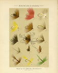 1885 Hackles & Gnats Plate 10 - Antique Charles F. Orvis Fishing Print