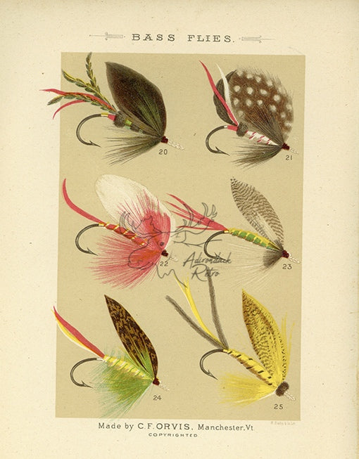 1885 Bass Flies Plate 14 - Antique Charles F. Orvis Fishing Print