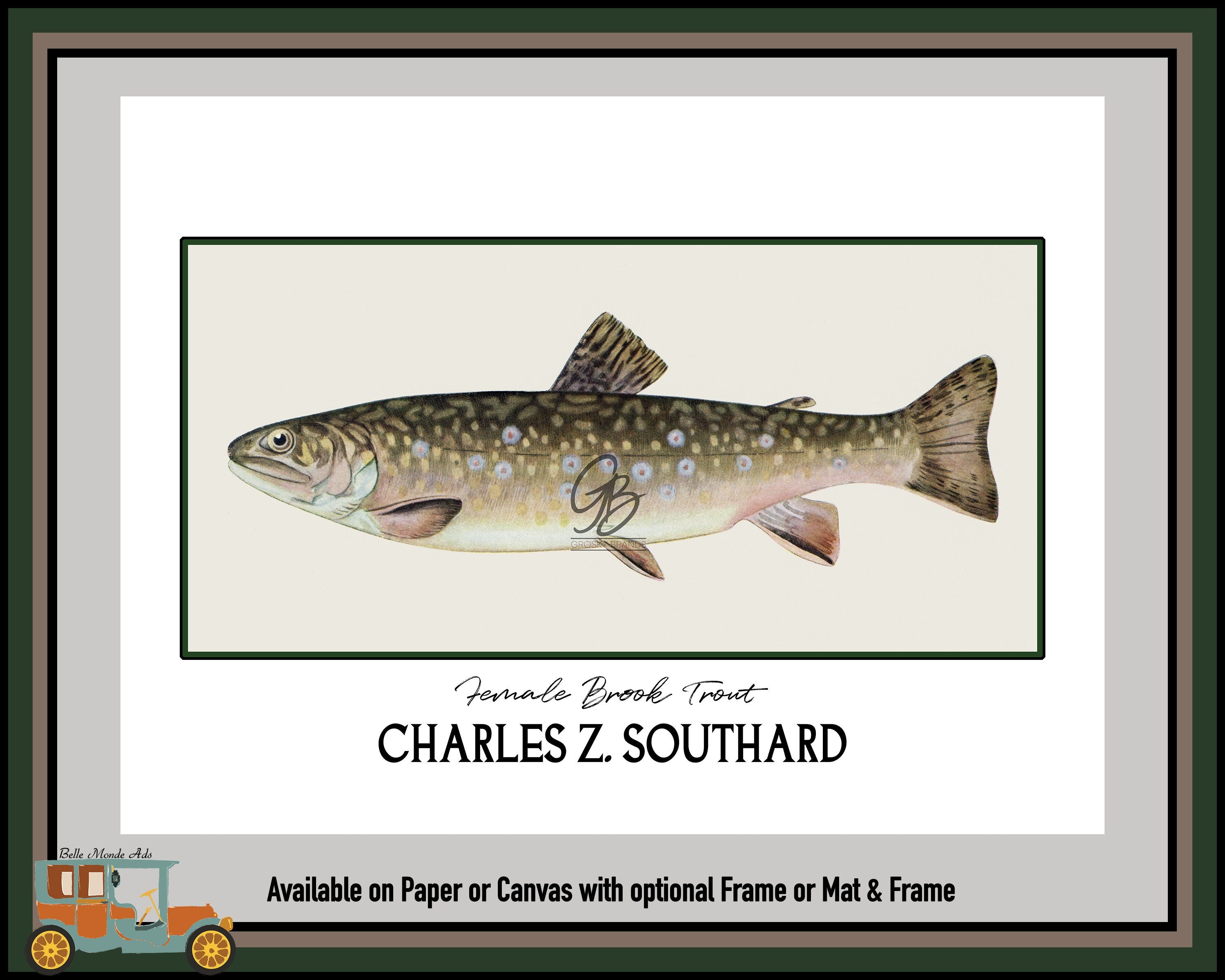 Female Brook Trout Fine Art Print - Charles Z Southard Fish Illustration