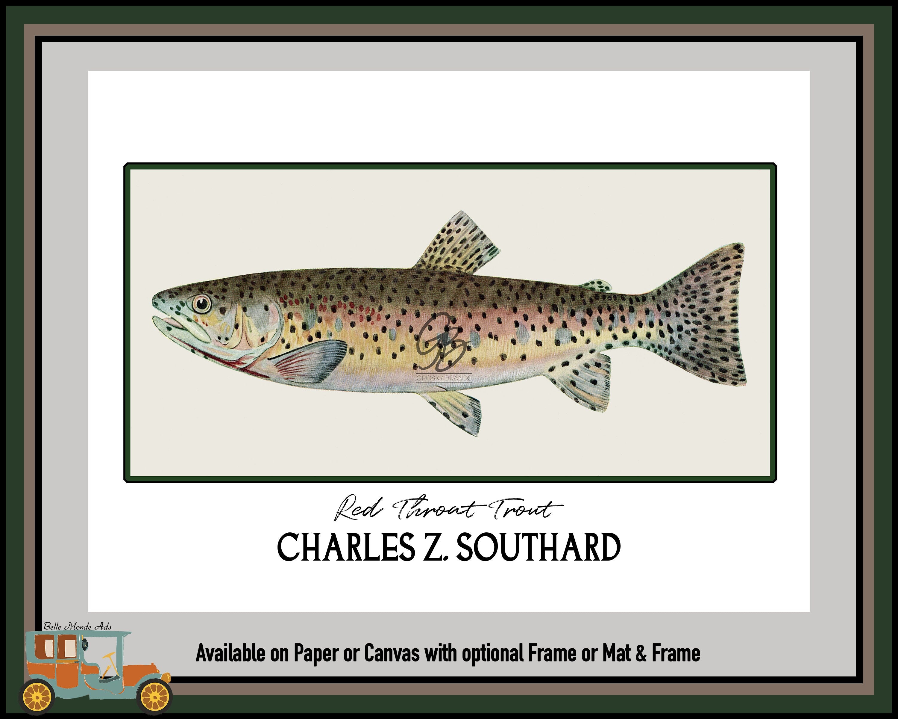 Red Throat Trout Fine Art Print - Charles Z Southard Fish Illustration