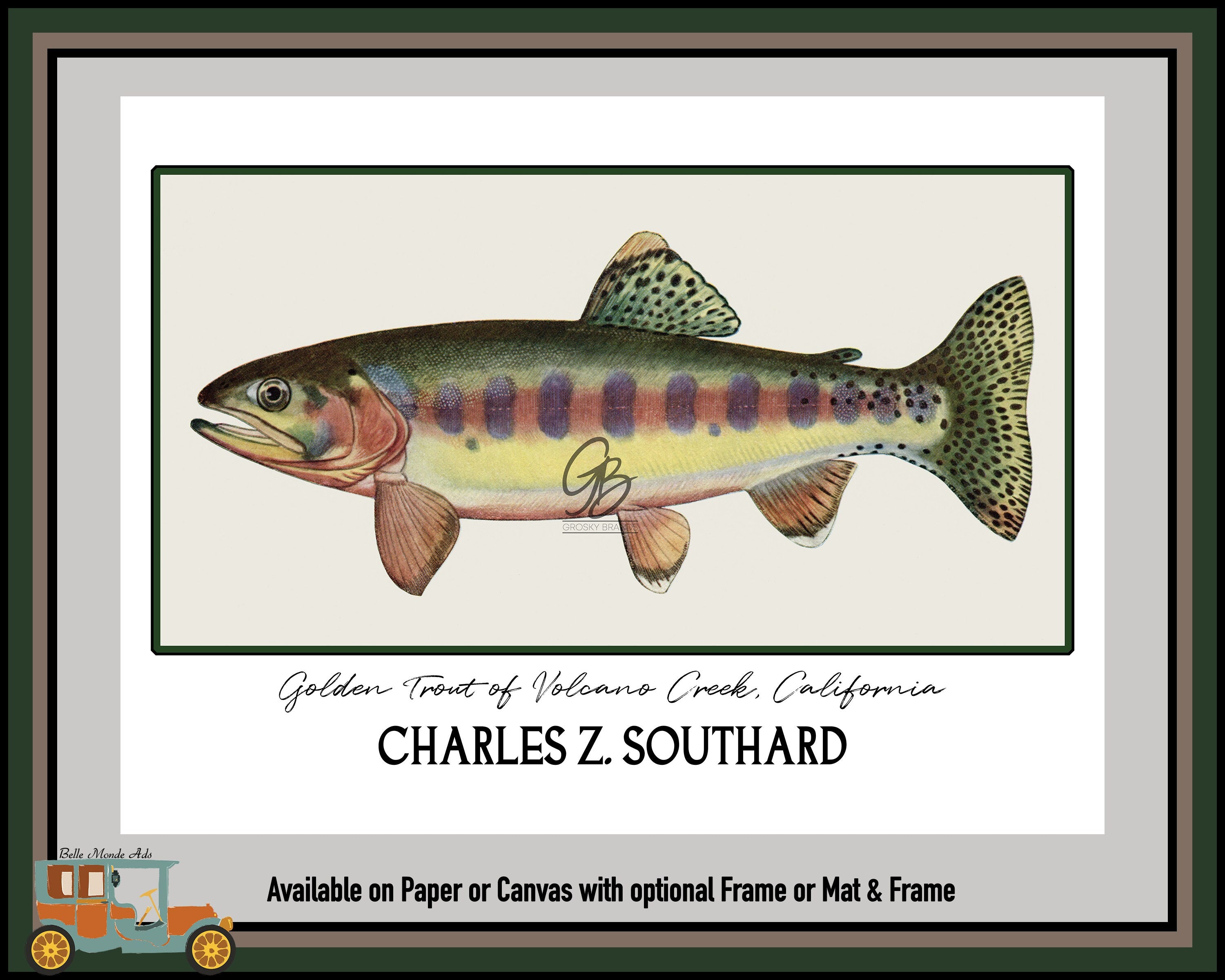 Golden Trout of Volcano Creek California Art Print - Charles Z Southard Fish Illustration
