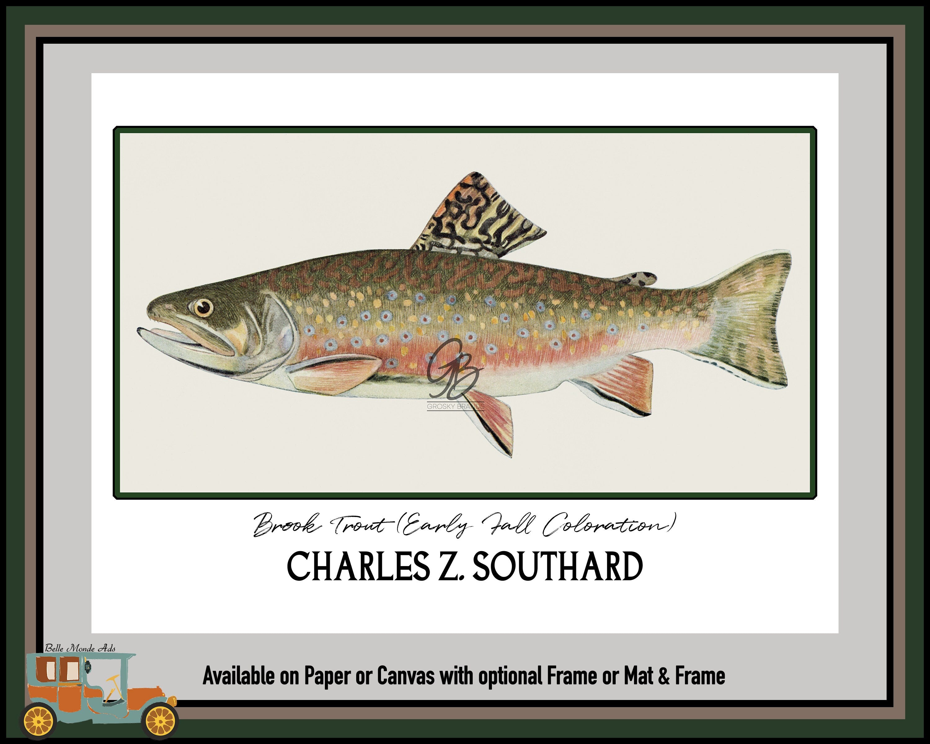 Brook Trout Early Fall Coloration Art Print - Charles Z Southard Fish Illustration
