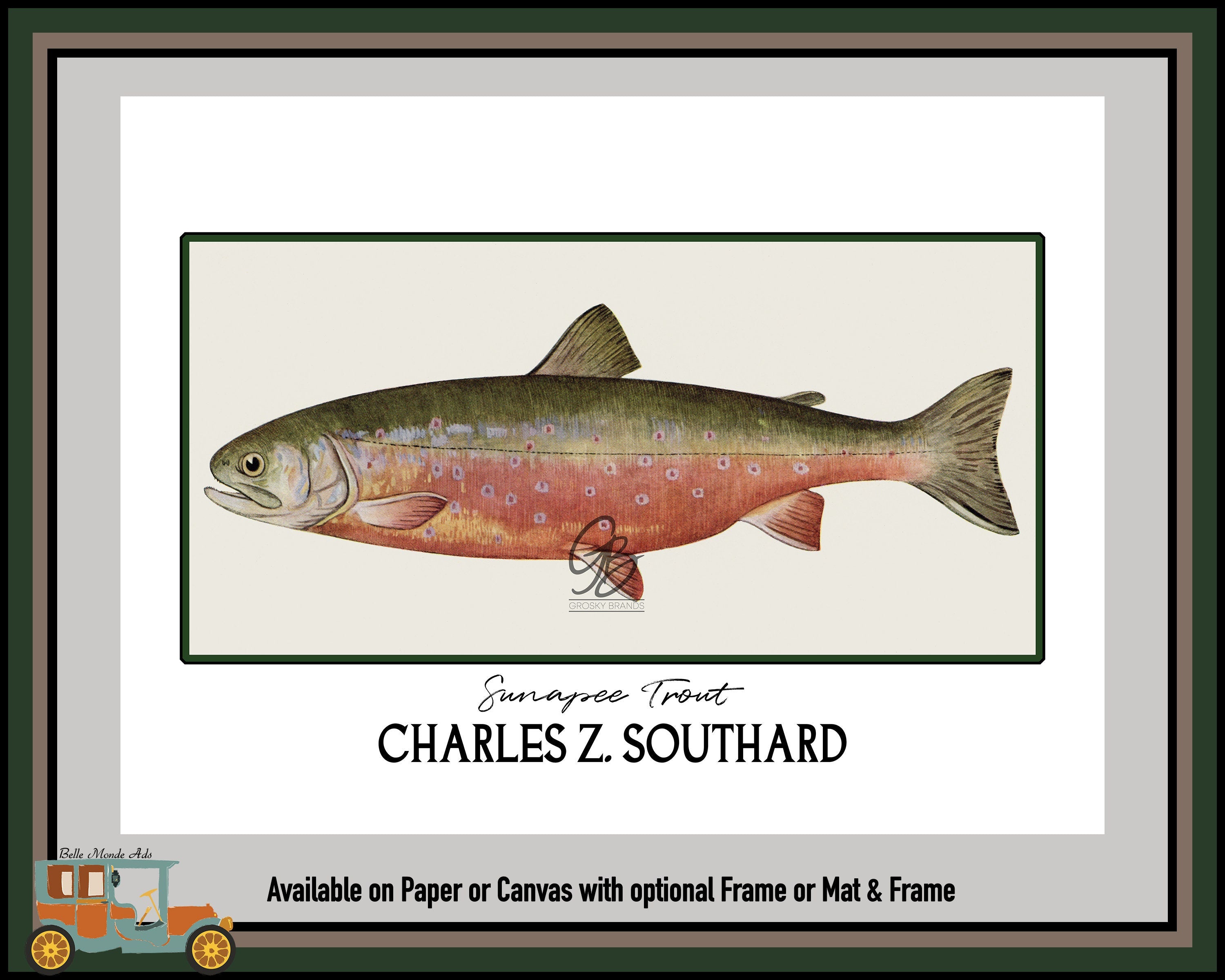 Sunapee Trout Fine Art Print - Charles Z Southard Fish Illustration