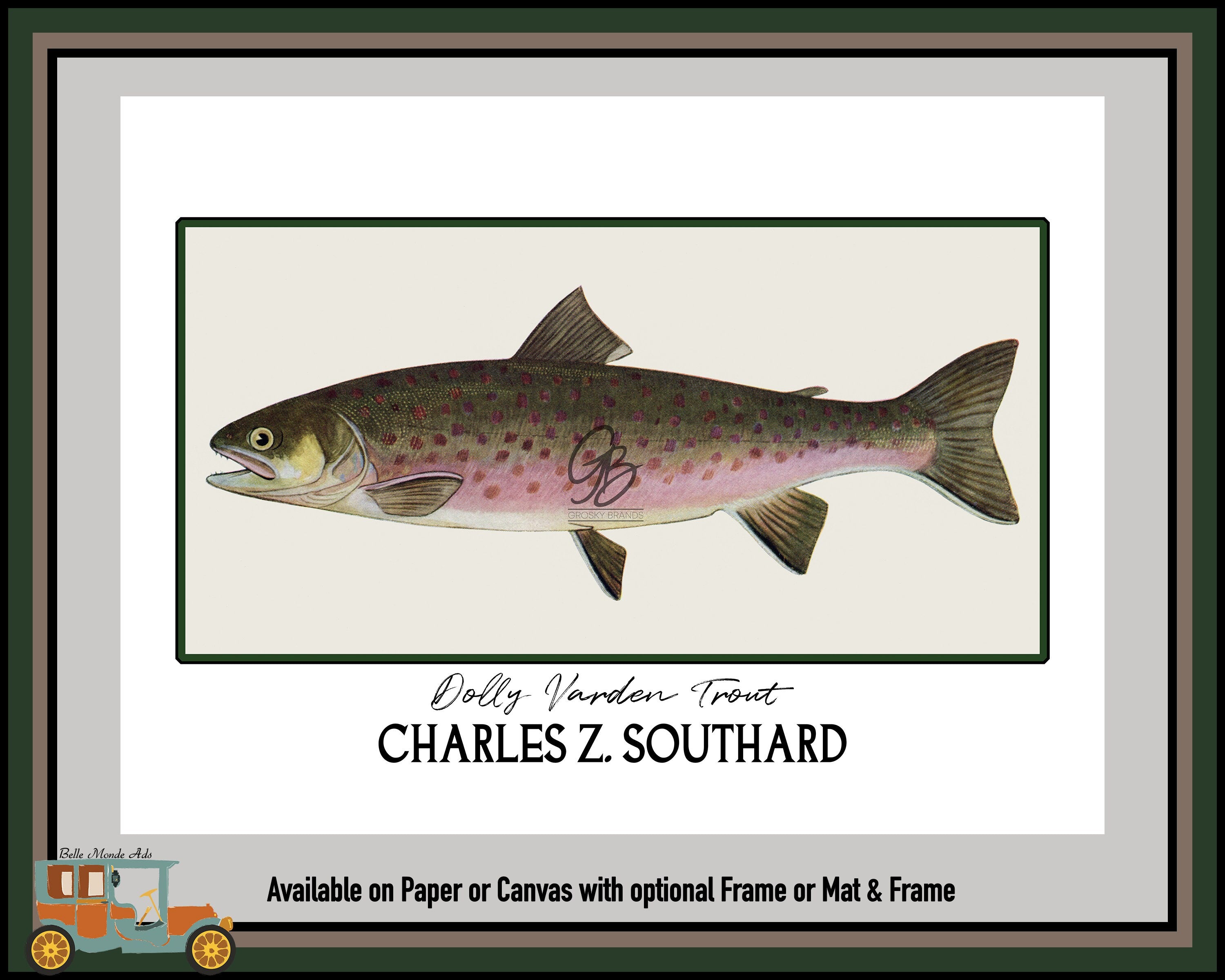 Dolly Varden Trout Fine Art Print - Charles Z Southard Fish Illustration