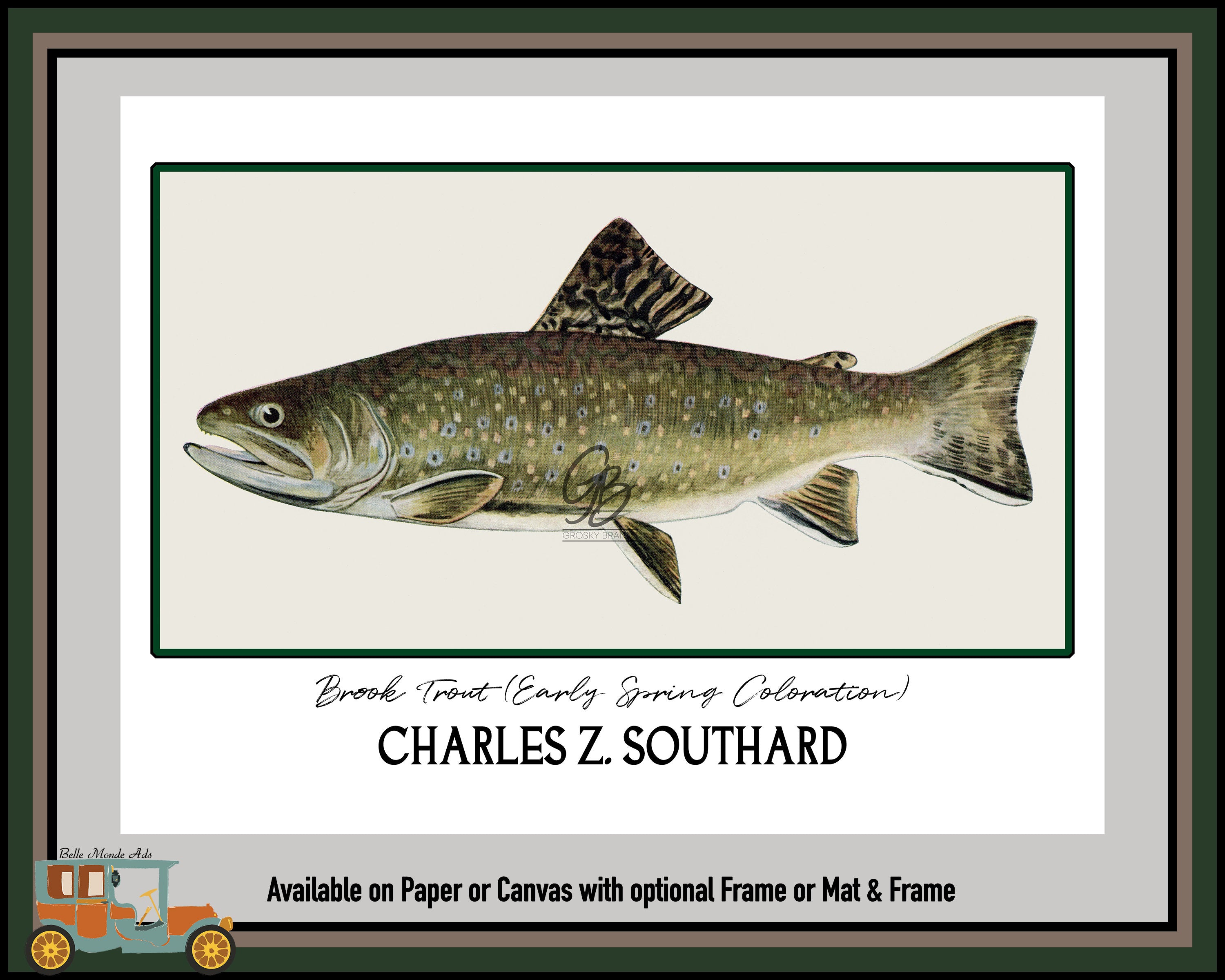 Brook Trout Early Spring Coloration Art Print - Charles Z Southard Fish Illustration