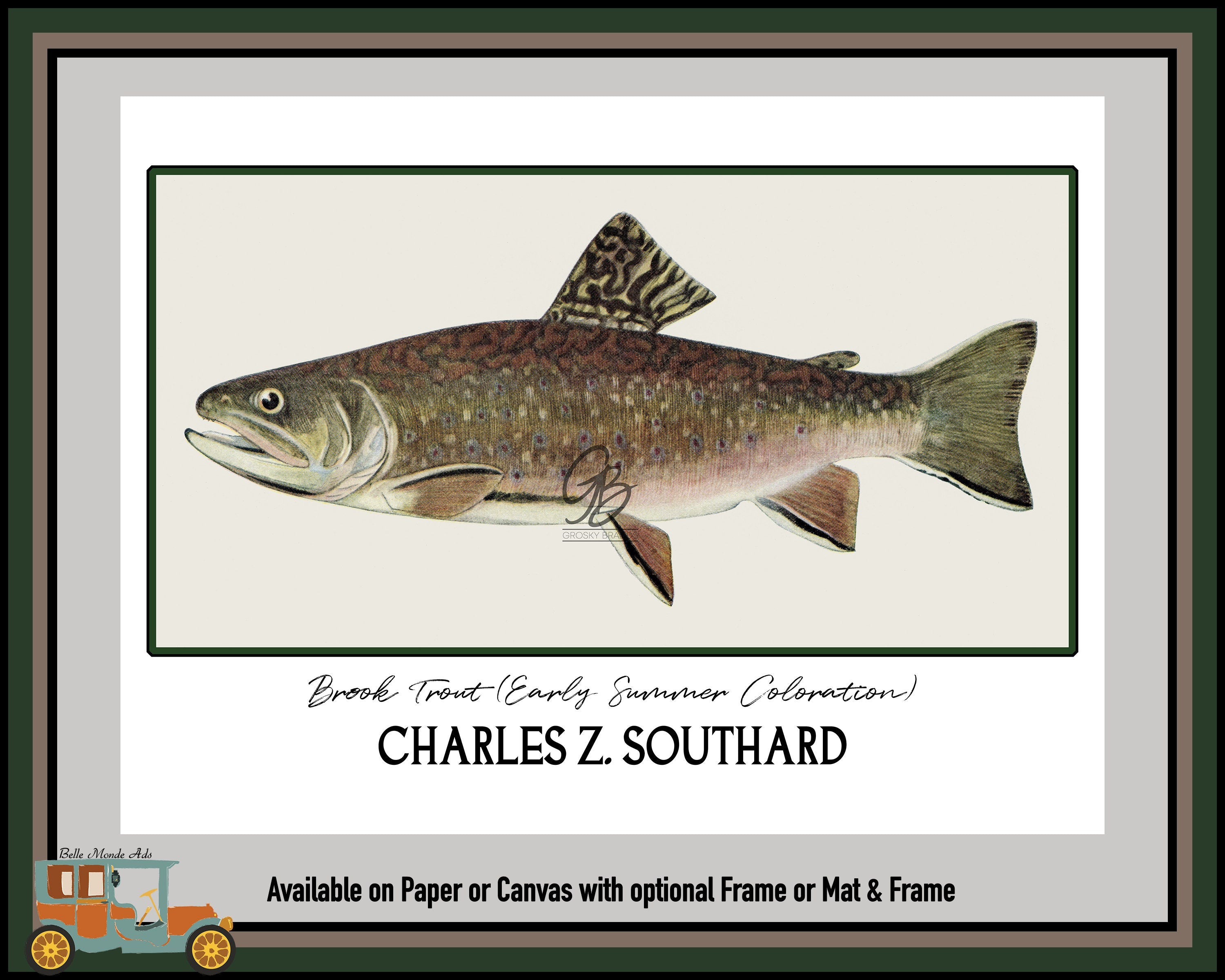 Brook Trout Early Summer Coloration Art Print - Charles Z Southard Fish Illustration