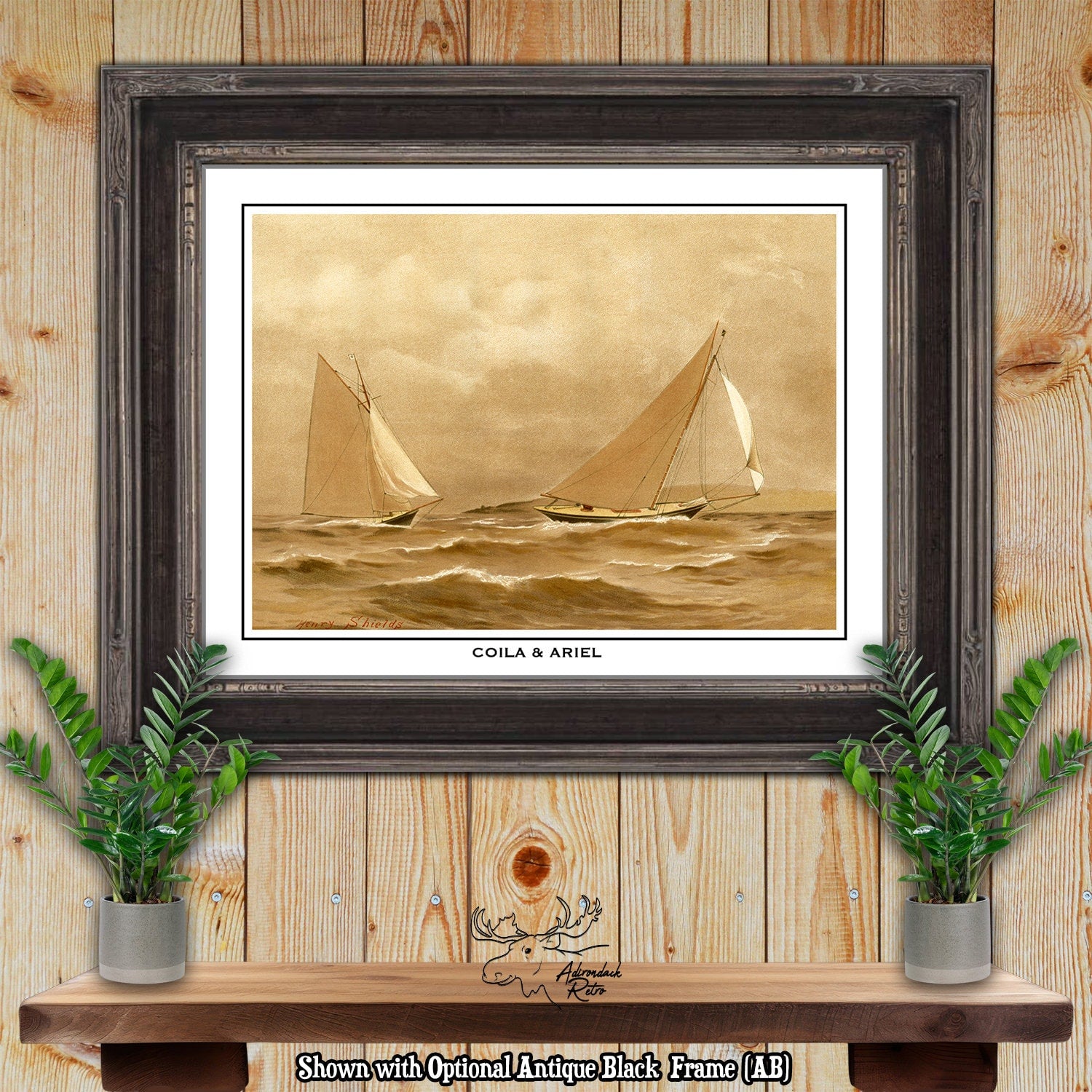 Clyde Yachts Coila and Ariel by Henry Shields Fine Art Print at Adirondack Retro