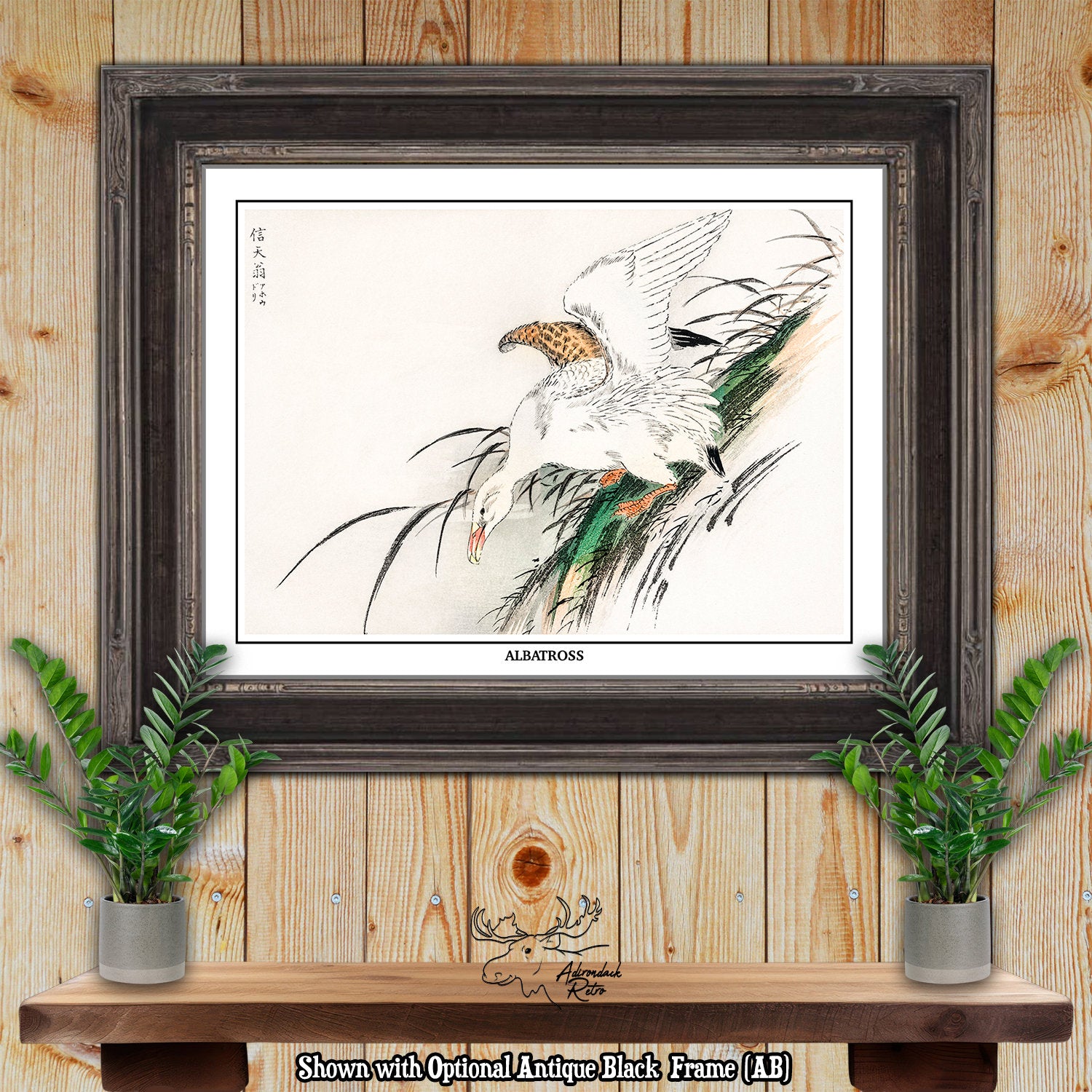 Albatross by Numata Kashu Giclee Fine Art Bird Print at Adirondack Retro